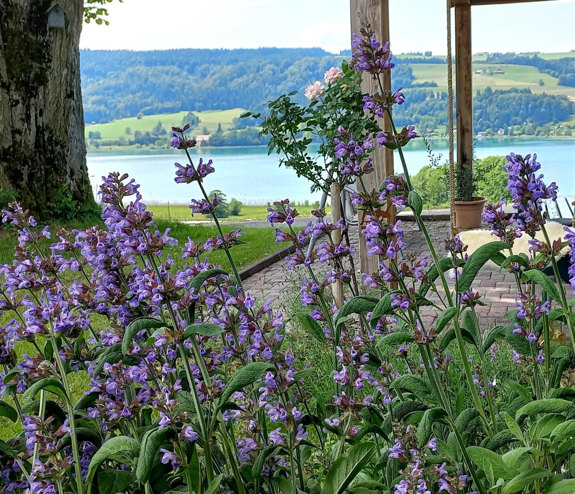 Roiderhof Irrsee Oberhofen am Irrsee ภายนอก รูปภาพ
